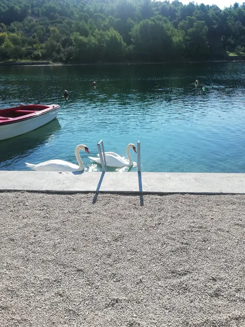 Apartmani Antea i Magdalena