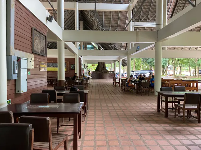 Khao Yai Coffee in The Forest