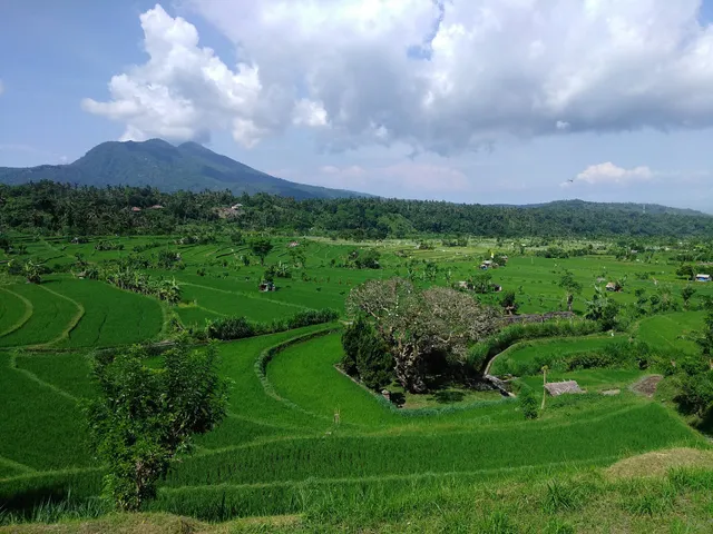 Puri Prima Bungalow & Restaurant