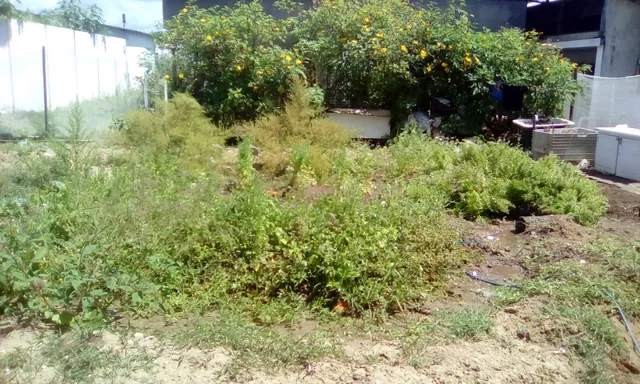 DONA DADAI REFEIÇÕES