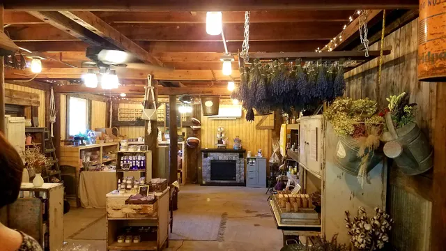 Livin' Life Lavender Farm