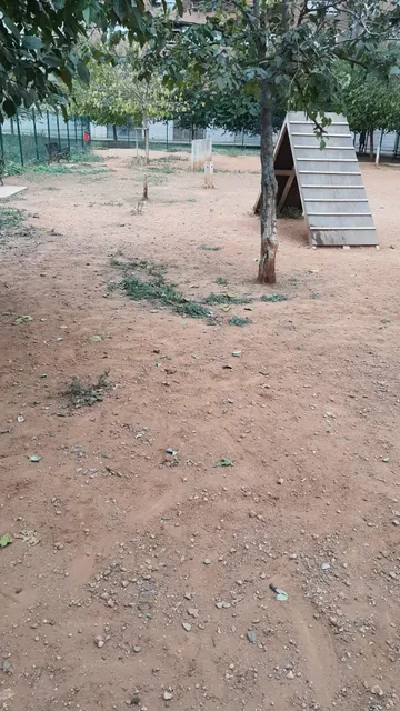 Parc de Miquel Adlert Noguerol