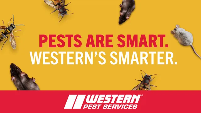 Western Pest Services - Pest Control, West Orange, NJ