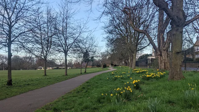 Acton Park