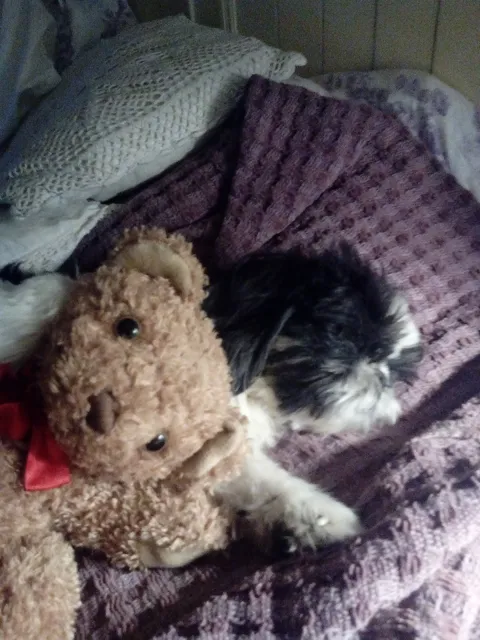 Marina Del Mar Mobile Homes