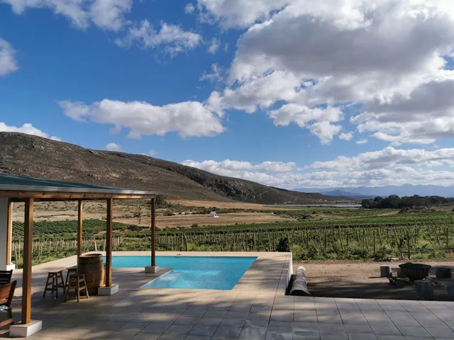 Mountainview Vineyards