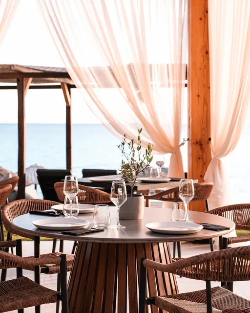 Olive Seaside Bar & Restaurant | Fourka, Halkidiki