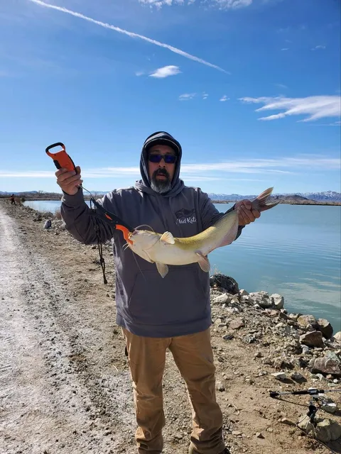 Fort Churchill Cooling Ponds