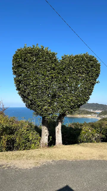 Heart Tree (South)