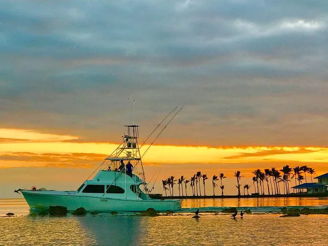 Bud N' Mary's Marina