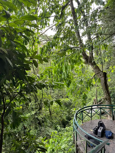photo-1