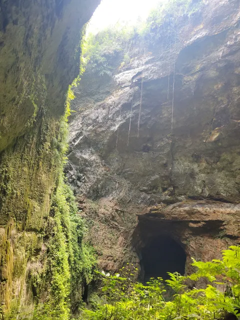 Parque Nacional de las Cavernas del Río Camuy