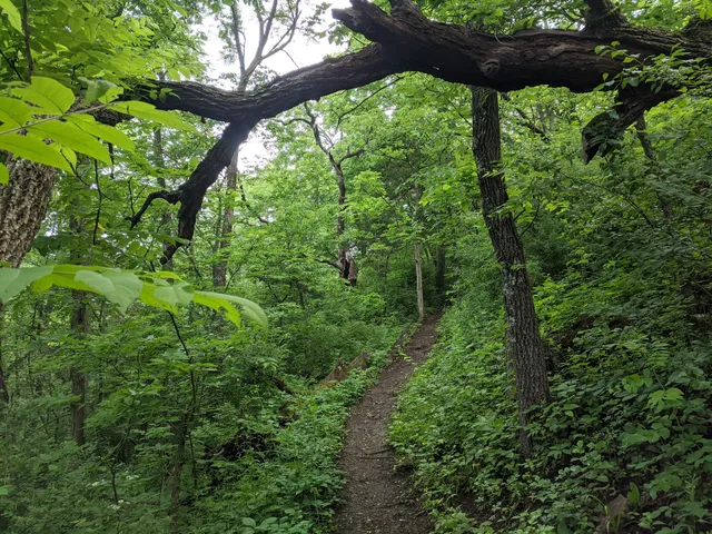 Ice Age Trail - Cross Plains Segment