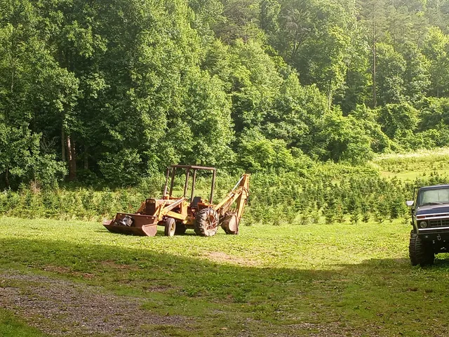 Fir Heaven Sake Christmas Tree Farm