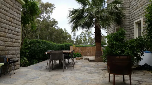 Bodrum Yalikavak Olive Tree Apart