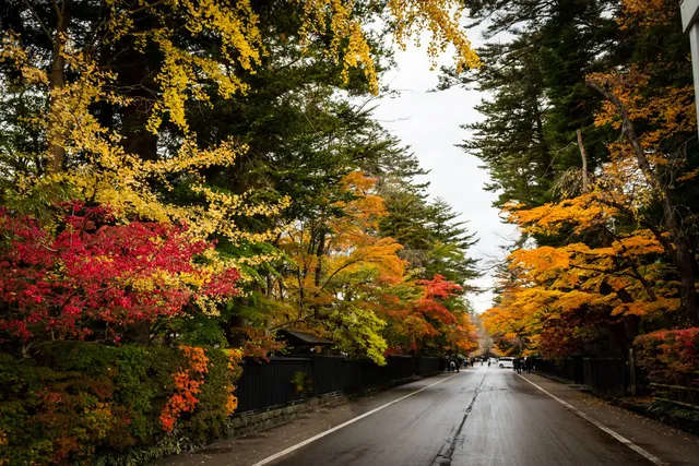 Kakunodate Samurai Residence Street