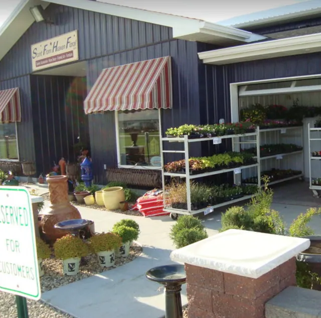 Scent From Heaven Floral