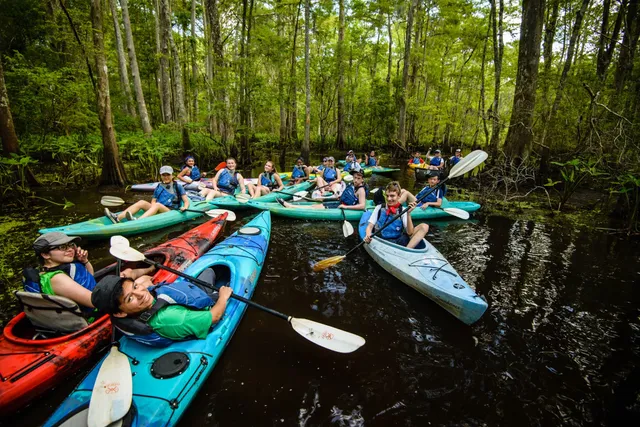 Wild Louisiana Kayak Swamp Tours