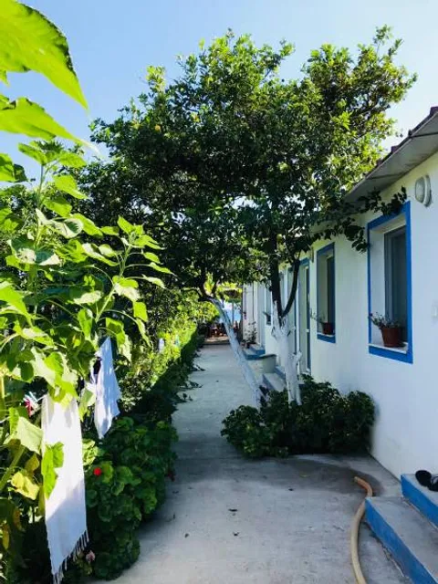 Mazı Neşe Pansiyon