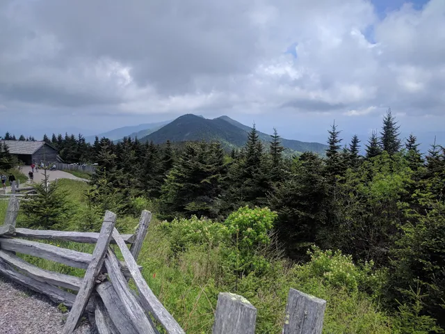 Top of Mt. Mitchell