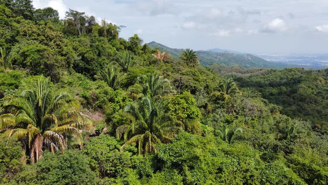 Sol de Minca Reserva Natural Ecolodge y Restaurante Saludable