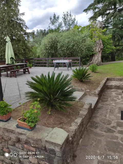 FATTORIA CARPINETA di Pierami Emanuele