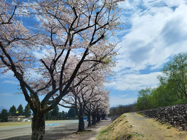Numatashi Sports Park