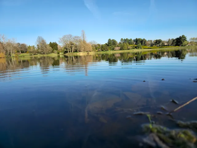 Dawes Arboretum Pond