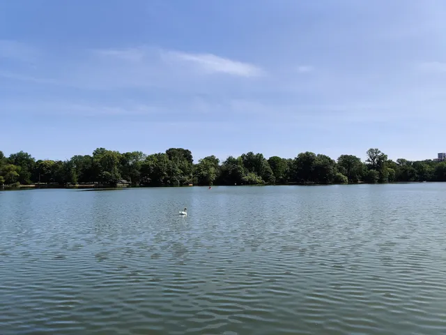 Prospect Park Wetland
