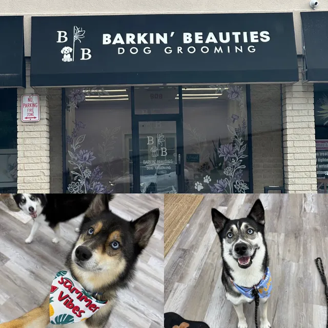 Barkin' Beauties