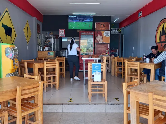 Los Fogones grill Queretaro - Tacos de Asada al carbón