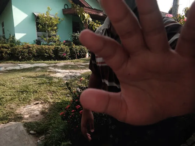 Rumah Makan Beringin