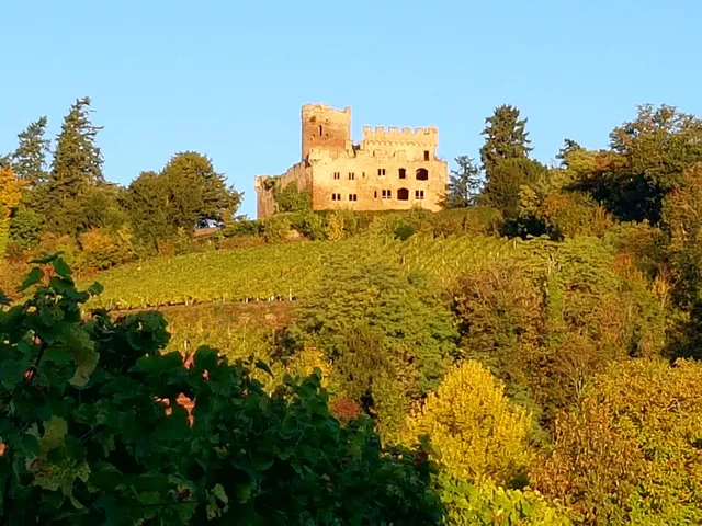 Les Gîtes du Relais des Vignes