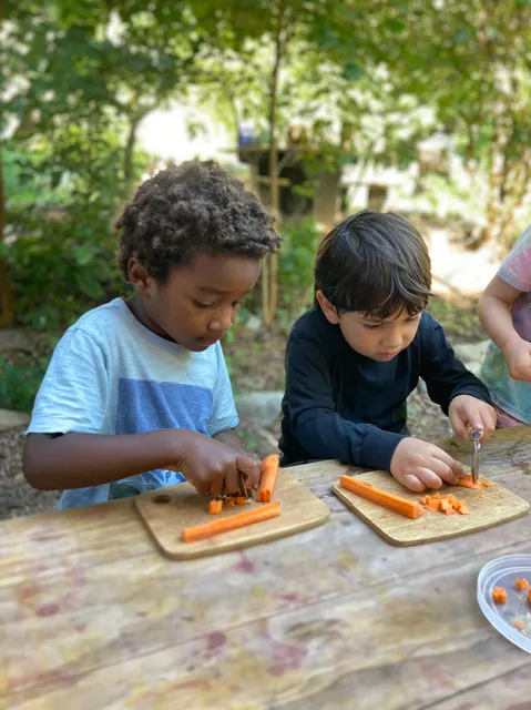 New Amsterdam School