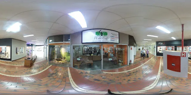 Pé de café Assistência Técnica em Maquinas de cafés.