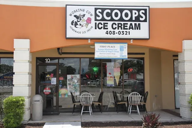 Scoops Ice Cream: Venice