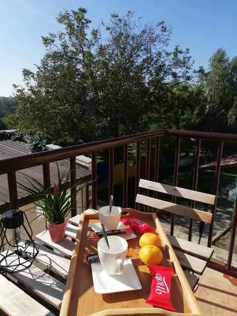 Studio apartman Centar