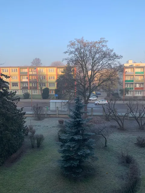 DS Rubin. Rada mieszkańców