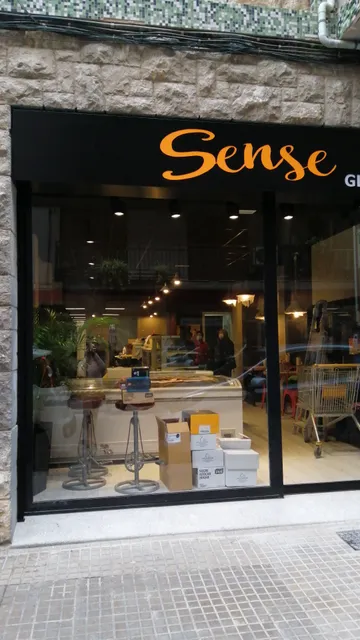 SENSE TGN