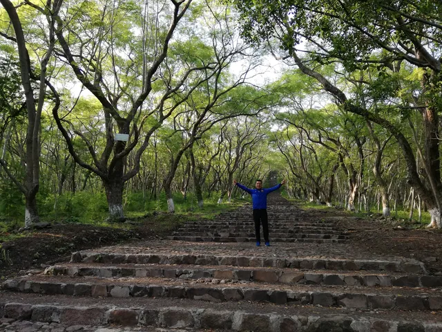 BOSQUE JUÁREZ