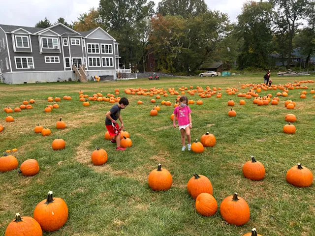 Fairfield Farms & Greenhouses