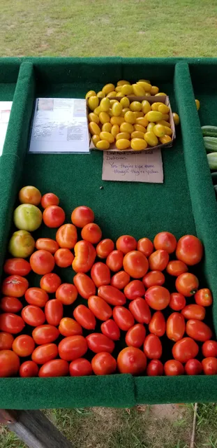 Townsley's Homegrown Produce