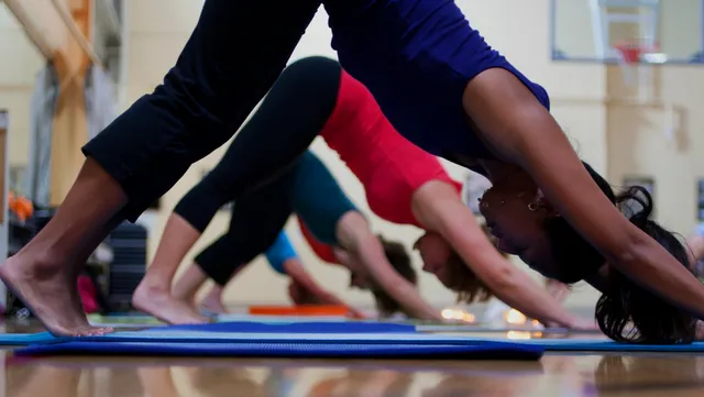 Harbor Wellness Studios