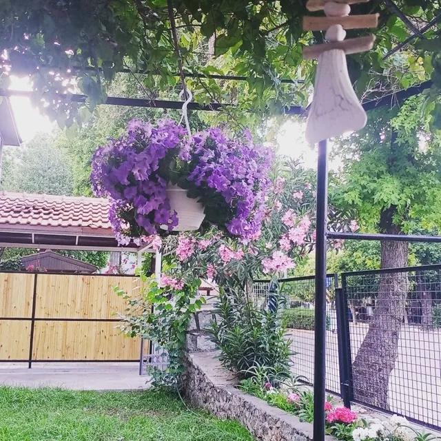 Relax Marmaris Apart