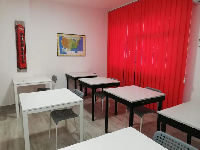 United College Srls Semplificata