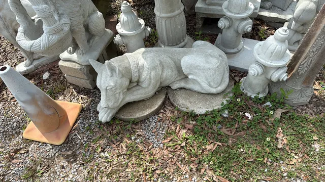 Sylvia's Birdbath And Beyond