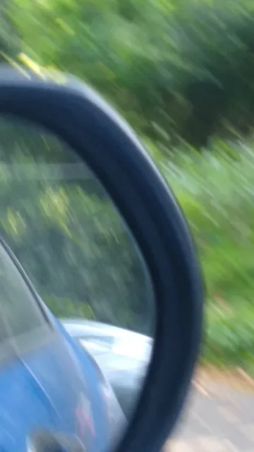 Hot Spring National Park Tour