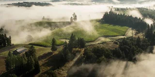 Soter Vineyards Tasting Room, by reservation