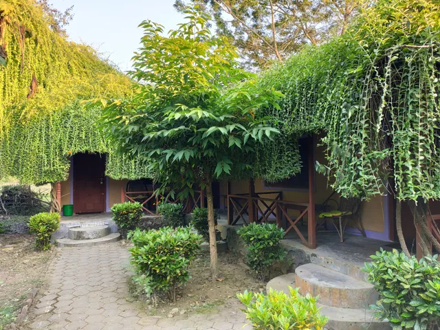 Jungle Heaven Hotel And Cottage