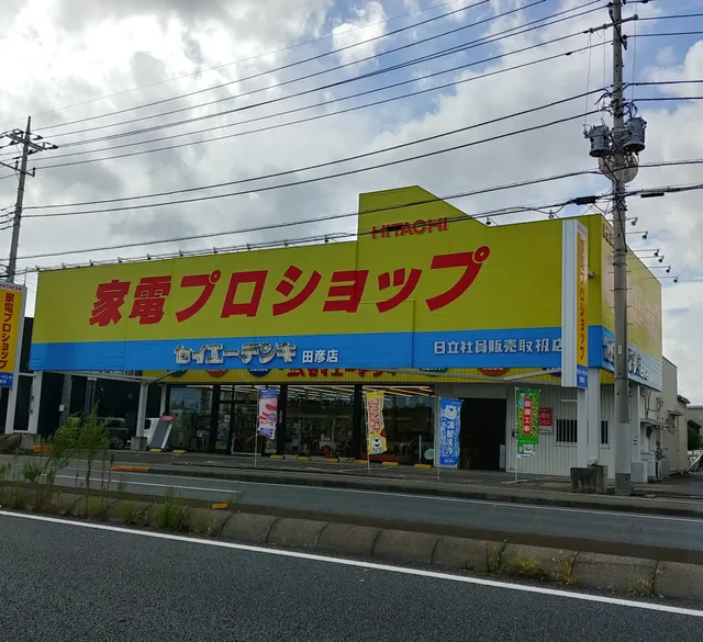 （株）セイエーデンキ 田彦店